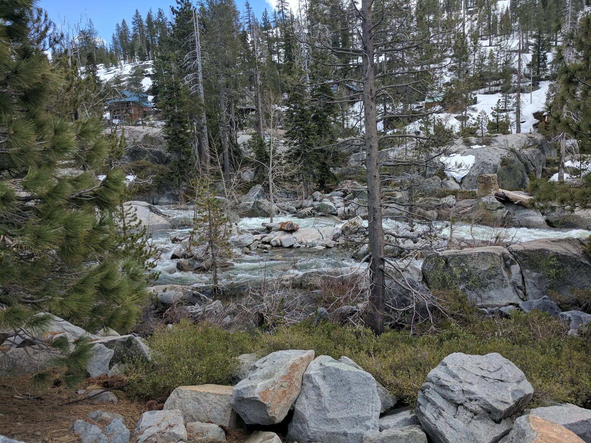 Hampshire Rocks, Tahoe National Forest, California — granite outcrops amid the pine and conifer forest along the Yuba River corridor near Cisco Grove, the rugged Sierra Nevada terrain where Donald Shrum survived a twelve-hour encounter in a pine tree.