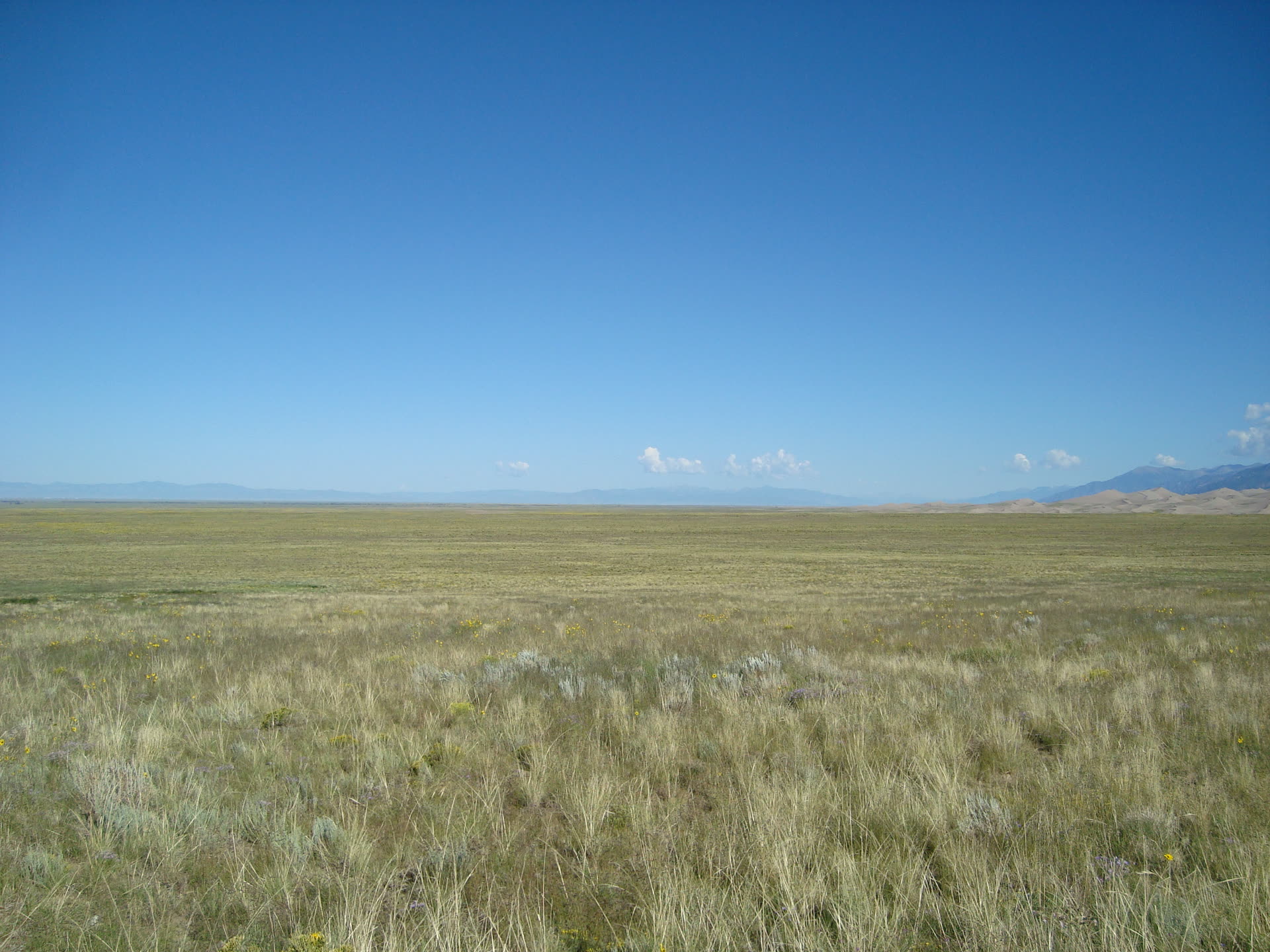 Open grassland of the San Luis Valley near Alamosa, Colorado, the high desert basin where the Harry King ranch and the 1967 Snippy mutilation site are located